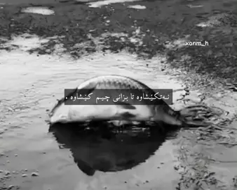 تــا بــزانی🖤.  #foryou #tiktok #acc #ئەکتیڤبن🥀🖤ـہہـ٨ــہ #fypシ 