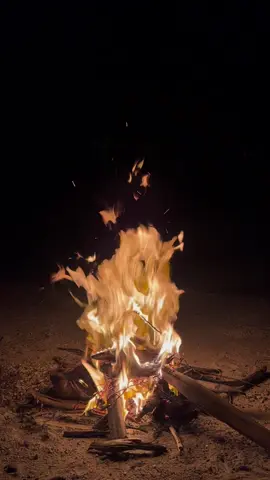 Api bikin tenang #apiunggun #vibes #fyp #lewatberanda #xybca 