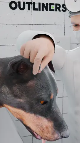 Soviet Soldiers Paired Grenades With An Ordinary Glass 🤯