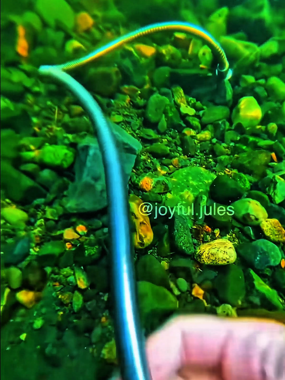 #scubadiving #satisfyingvideo #asmrtingles #asmrsounds #asmrtiktoks 