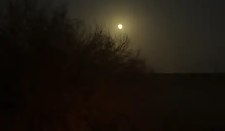 ترا مو كل شي نبيه لازم لاززم يصير                                  اآشياء ي كثررررها ما نبيها وصاآرت …