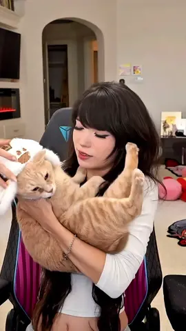 Emiru dresses cheddar in his first cosplay. Monster hunter #emiru #streamer #livestreamer #fyp #cosplayer 