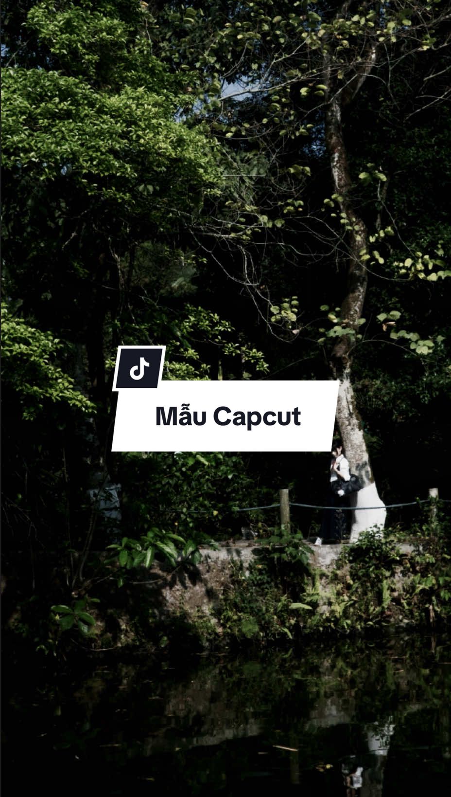 Tao đánh đổi màn đêm yên giấc. #nhachaymoingay #xuhuong #capcut #pioneertemplate #capcutpioneer 
