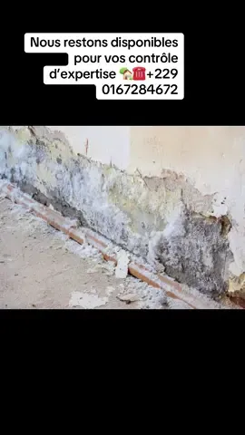 #creatorsearchinsights #debloquemesvue🥲🙏🏽 #btpconseil #tiktokbeninois🇧🇯 #construction #tiktok @Conseilbtp Conseil @Le monde 🌍actuel (bâtiment)🏗 