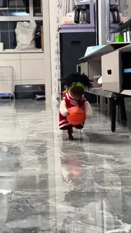 #dog #funny #cute #funnyvideos #funnydog 