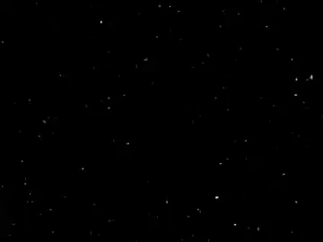 كون يامرنا سيد علي السيستاني 🍃...  #سيد_علي_السيستاني #تصميم_فيديوهات🎶🎤🎬 #capcut #edits #الامام_علي_بن_أبي_طالب_؏💙🔥 