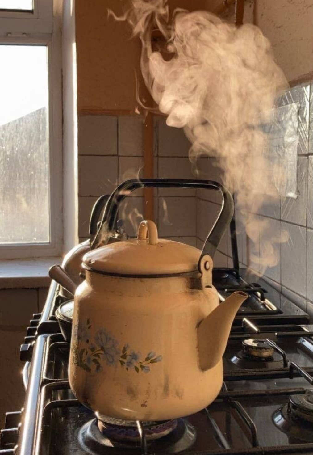 Metas claras 🧁👩🏻‍🍳🩵 #CapCut #cottagecore #recetafacil  250 g de harina de trigo (tamizada) 	•	75 g de cacao en polvo puro sin azúcar 	•	400 g de azúcar 	•	2 huevos 	•	120 ml de aceite suave (girasol o maíz) 	•	240 ml de leche 	•	240 ml de agua caliente (recién hervida) 	•	1 sobre de levadura química (16 g) 	•	1 cdta de bicarbonato de sodio 	•	1 pizca de sal 	•	1 cdta de esencia de vainilla (opcional, pero recomendado)