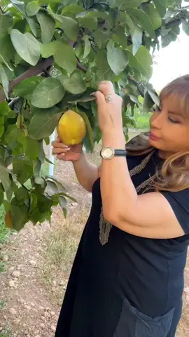 🤭 #سحر_فوزي #سحوره #سحورتي #سحر_فوزي_خط_احمر #امثال_شعبية 