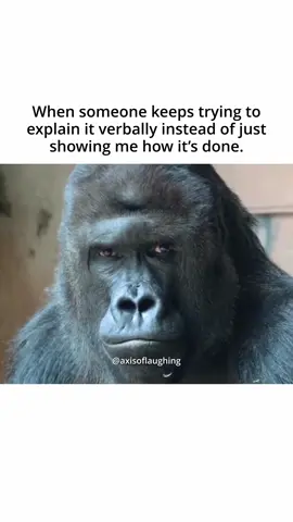 What?! #meme #memes #viral #fyp 