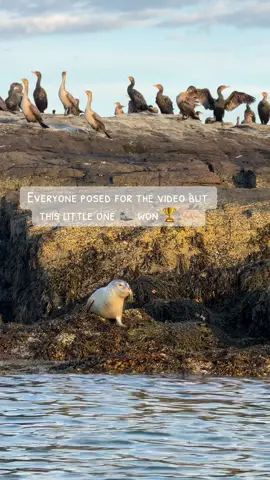 #maine #thewaylifeshouldbe #fyp #foryoupage 