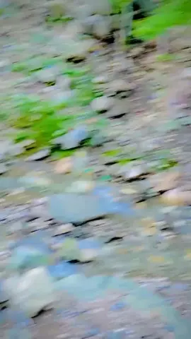 Bilal Jan 🤭#LanguageLearning #plzunfrezemyaccount #viralvideo #tiktokviral #foryou @︻┳═一 [ Z🥀B ] ︻┳═一 @MaLanG.🫴🤍 