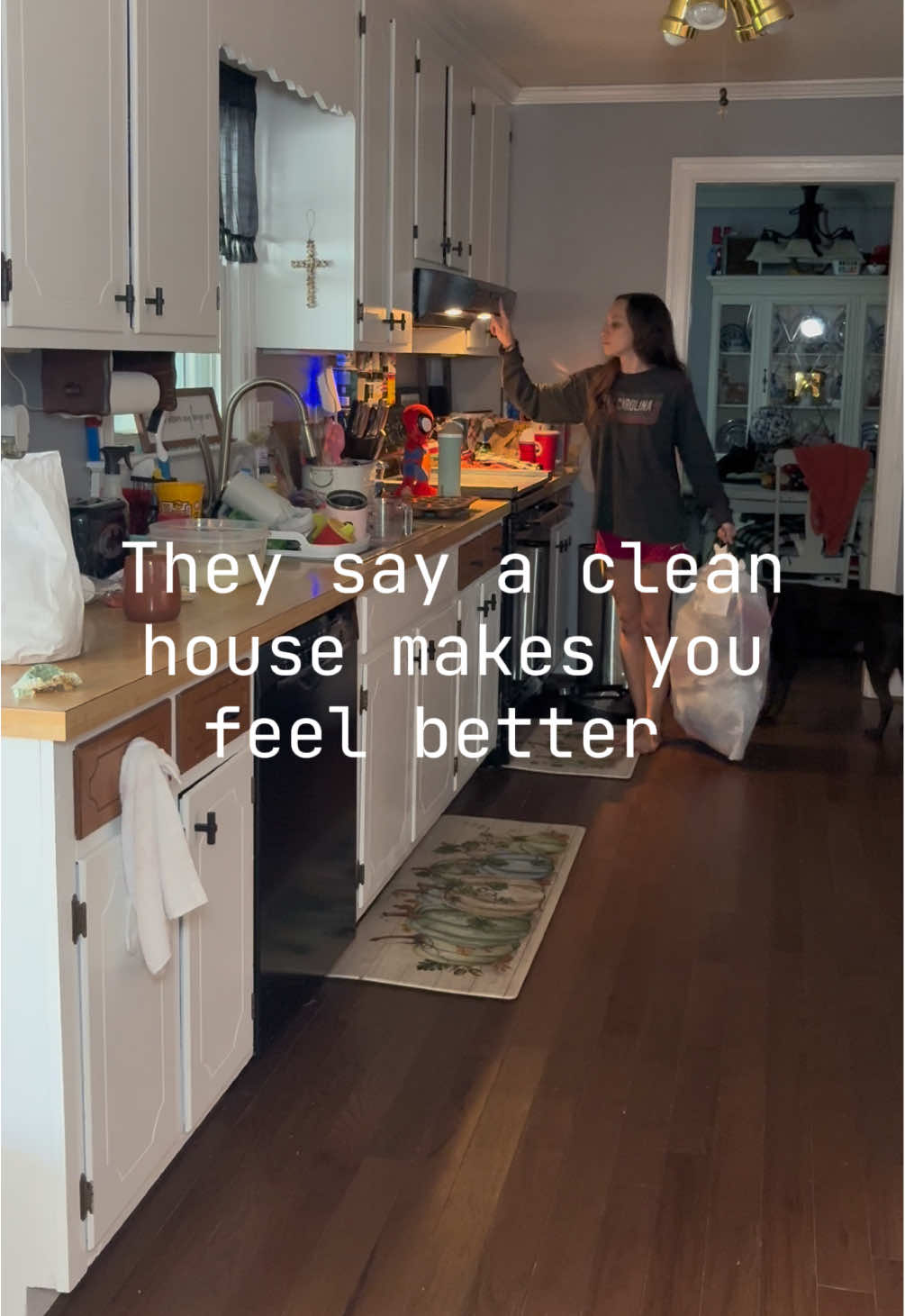 Feeling like crap but I can’t stand this mess anymore 🧽🧹 #cleanwithme #housereset #CleanTok #resetwithme #fyp 