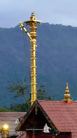 swami saranam🙏🙏🙏#trending #malayalam #foryoupage #keralatiktok #devotional 