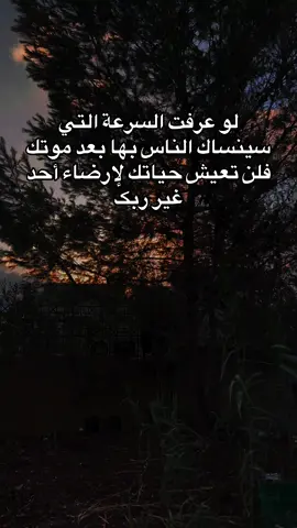 #creatorsearchinsights #foryoupage #fyppppppppppppppppppppppp #foryoupage 