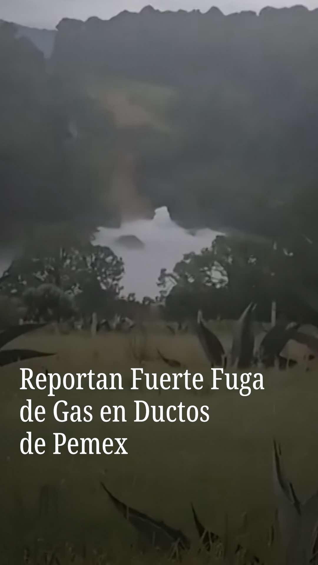 La Policía de Tlaxcala y otros cuerpos de emergencia se movilizaron para detener una fuga de gas que se descubrió en uno de los ductos de Pemex en la zona boscosa de la comunidad de Tepuente, ubicada en el municipio de Nanacamilpa, Tlaxcala. #fugadegas #pemex #tlaxcala 