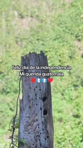 Feliz día del independencia mi querida guatema