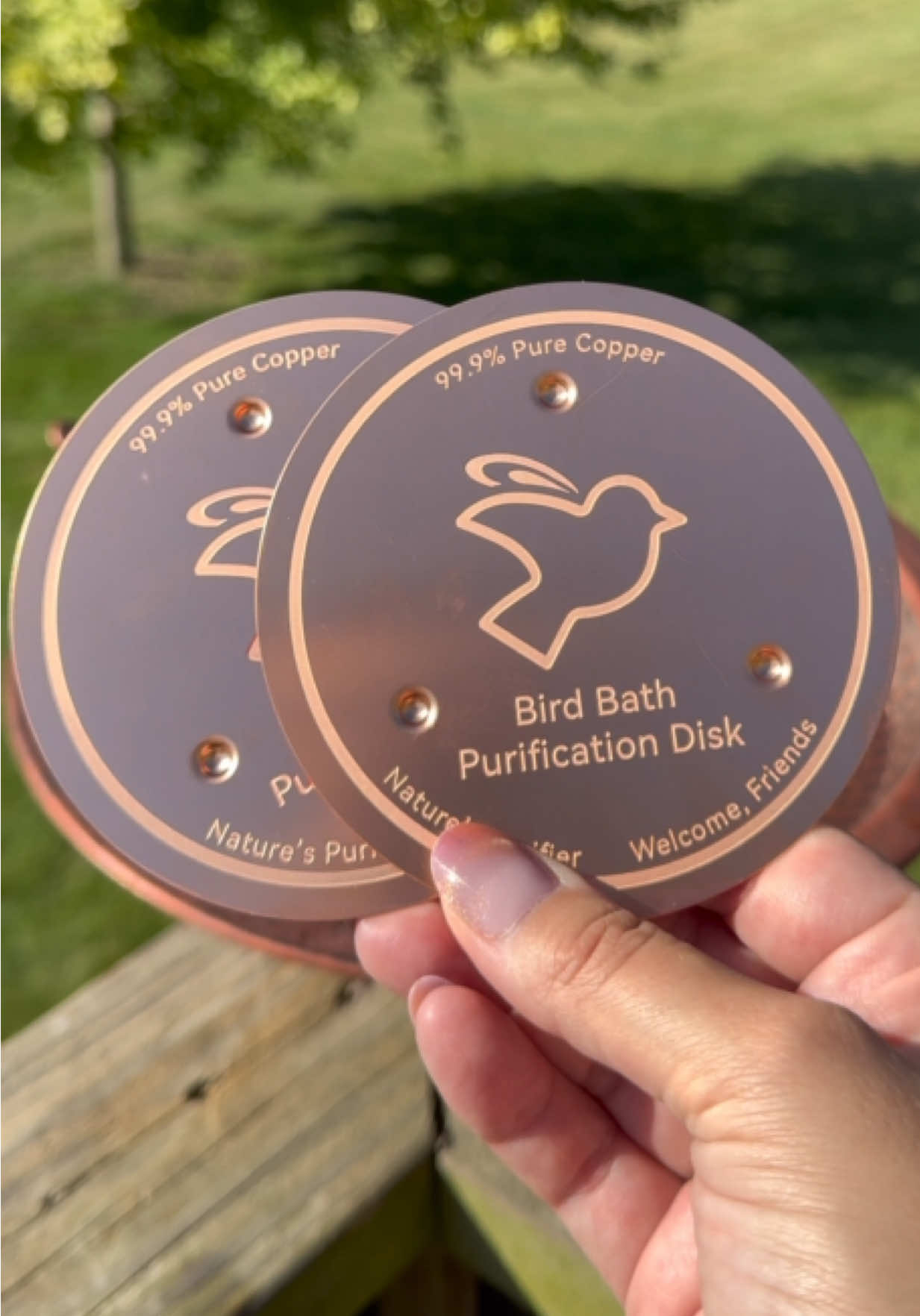 Cleaner water, happier birds 🐦💧 I’m always looking for little ways to make backyard birding easier and safer, and these pure copper discs do exactly that. Just drop them in your bath or fountain and let them work their magic ✨ Simple, natural, and bird-friendly. Linked in my bio if you want to give them a try! Thank you @Mellbree_official for sending these over! #mellbree #wildbirds #birdbath 