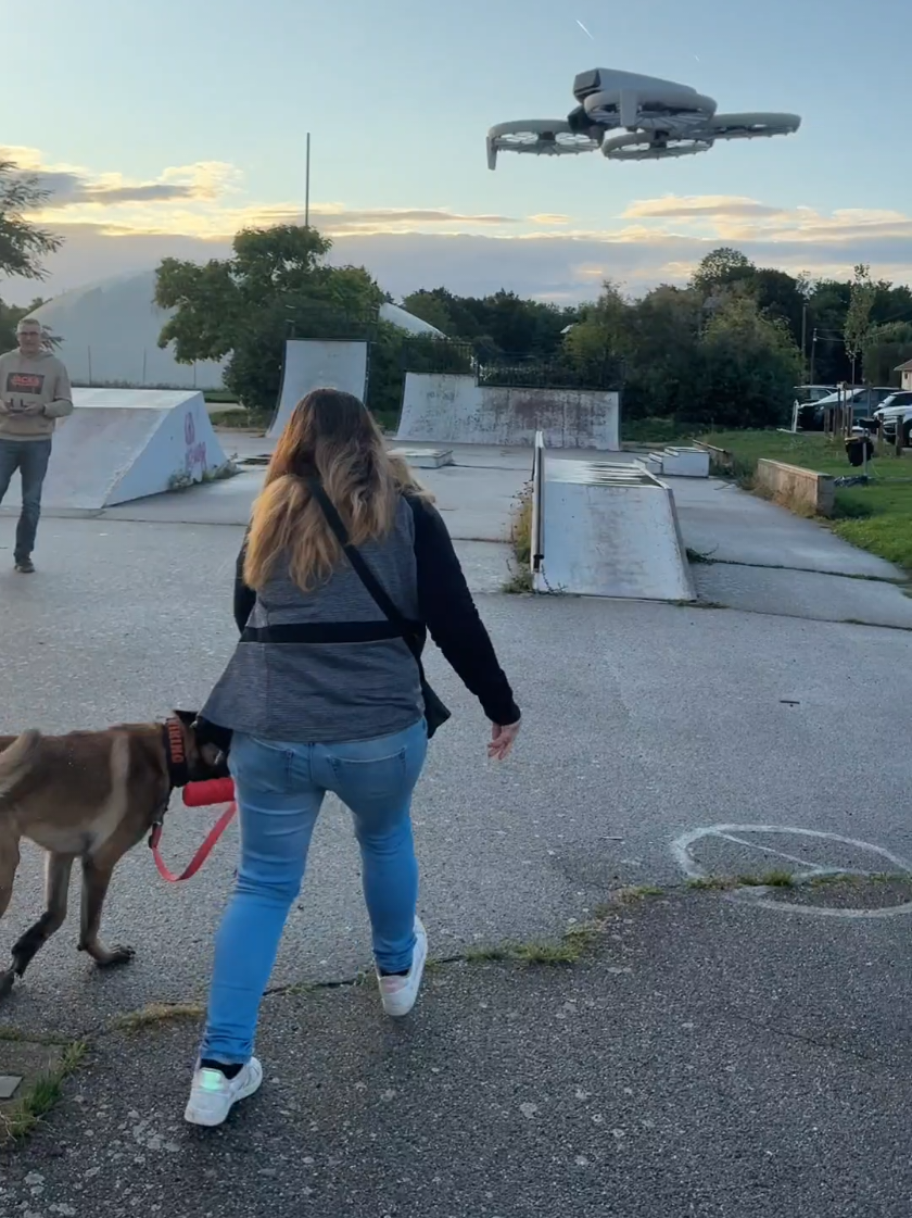 Exercices d’auto contrôle / Prédation avec drône & voiture RC #educationcanine #dogtrainingtips #malinoislovers #dogsoftiktok #drones 