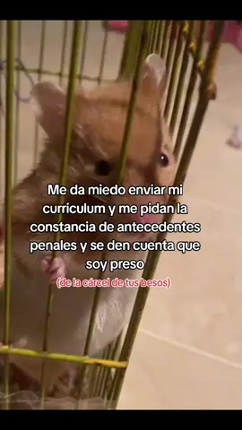 Presa y con felicidad  #tiktok #fyp #parati #humor #amor 