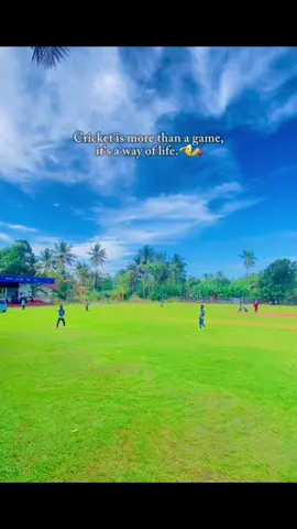 Cricket lovers only repost this video 😍🫶🏻