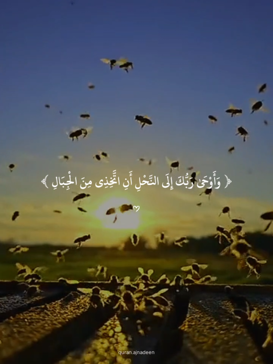 تلاوة جميلة  #ياسر_الدوسري #قران_كريم #قران #quran_alkarim #quran 