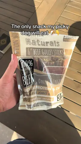 Tried everything… but these Mighty Paw Beef Gullet Sticks are the one treat my picky pup actually loves 🥩🦴 #MightyPaw #DogTreats #pickypup 