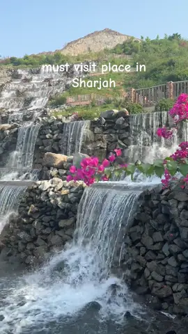 beautiful place in Sharjah #hanging gardern#sharjah #dubai🇦🇪 