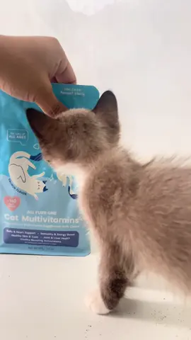 @Floof Pets Grab Floof Pets 8-in-1 Multivitamins with #floofpets  #multivitaminsforpet #CatCare #PetTok #petcareph 