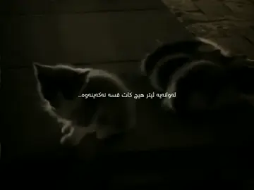 لەوانەیە ئیتر هیچ کات قسە نەکەینەوە …#fyp #foryou #tiktok #word🗣️ #kurdistan  