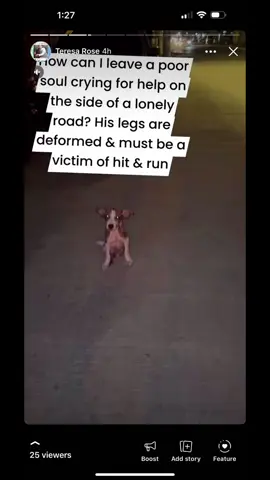 #dogsoftiktok #dogmom #straydog #dogtok 