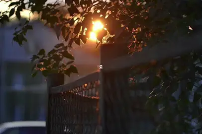 полматери - мы идём с тобой гулять #songs #рек #lyrics #песня #полматери 