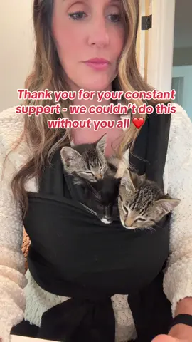 Your support since starting this page not even 1 year ago has been amazing. I’ve met such amazing people on here and I am so thankful that you’re here and that we’re able to share our lives.  #kittensoftiktok #kittens #cat #catsoftiktok #kitty 