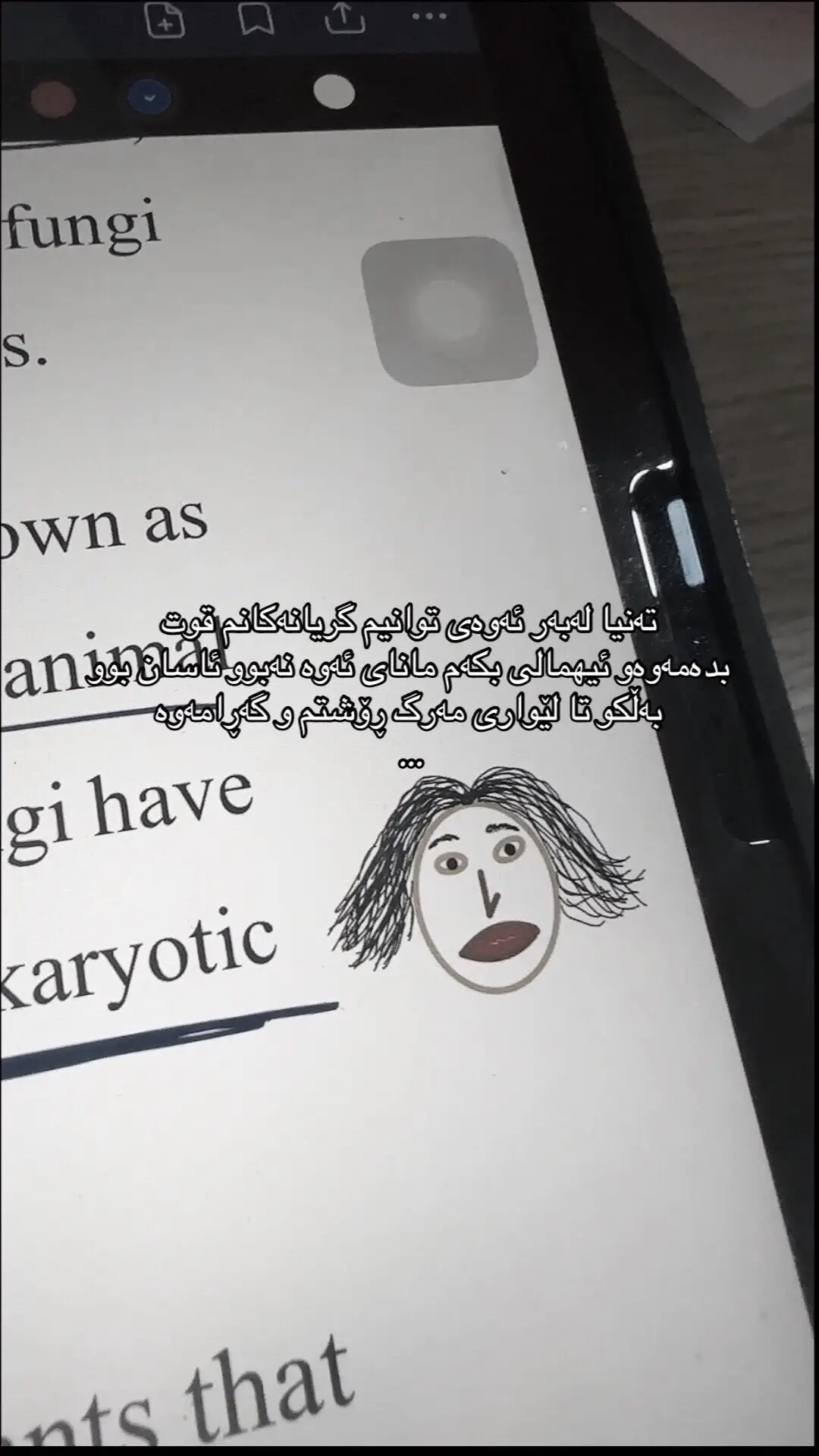 #foryoupageofficiall #foryoupage #کۆپی_لینک_داگرە #fyp #creatorsearchinsights @TikTok @tiktok creators 