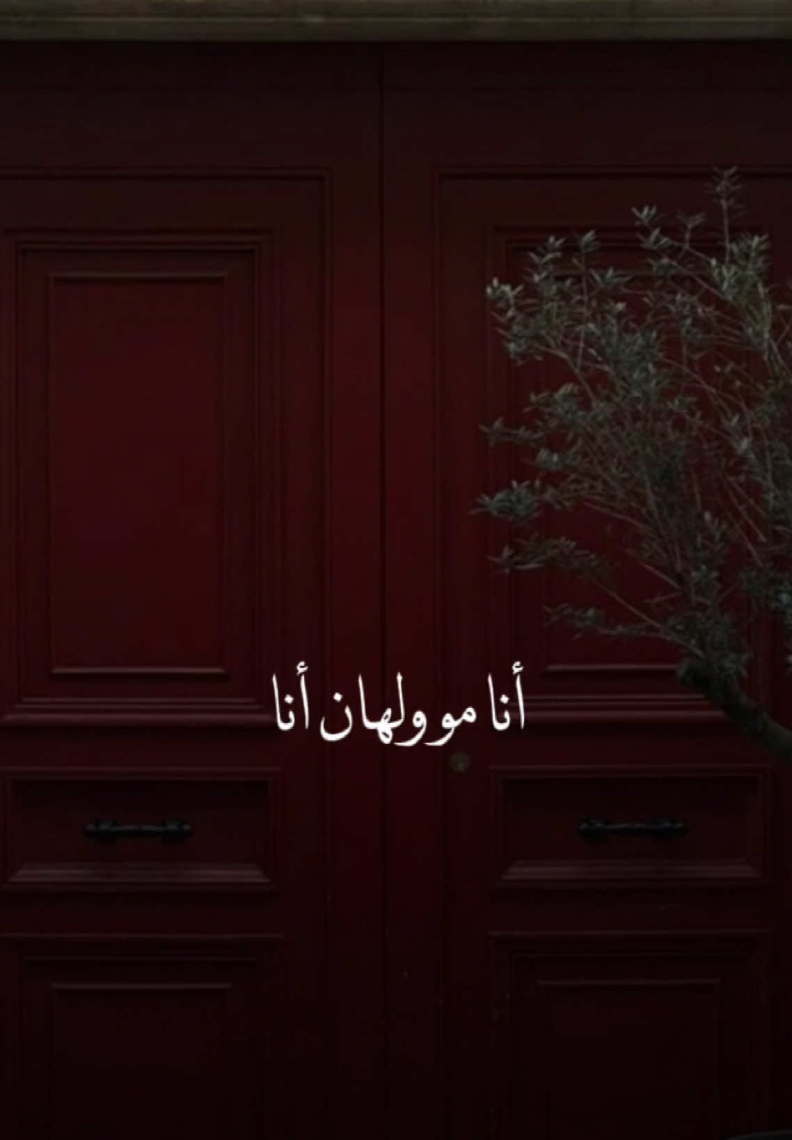 أنا مو ولهان أنا💫أنا دنيا من الوله💫محتاجك أبيك💫 #دنيا_الوله #انا_مو_ولهان #عبدالله_الرويشد #عبدالله_الرويشد_طربيات #تصميم_فيديوهات🎶🎤🎬 