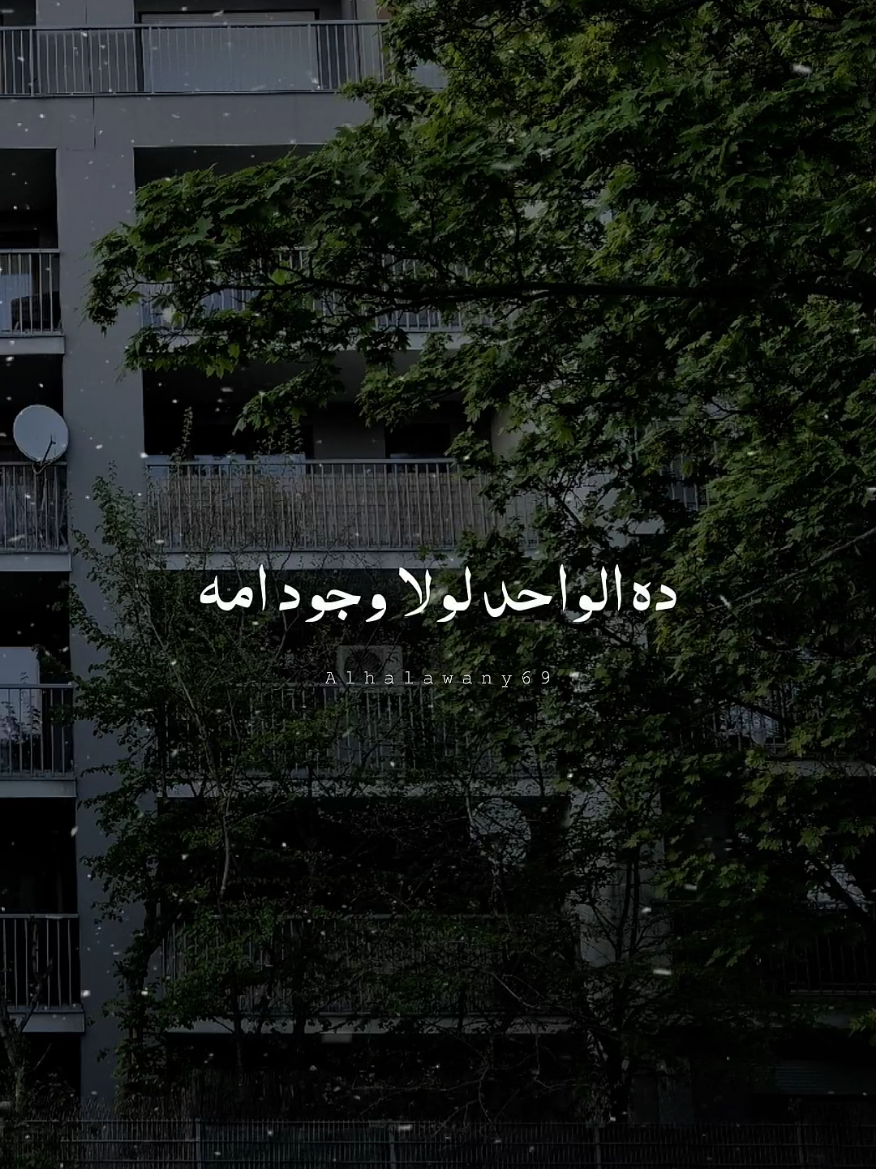 الله يخليكي يا ست الناس 💙✨ #فارس_قطرية #شعر #fyp #امي #تصميم_الحلواني🖤🎤 