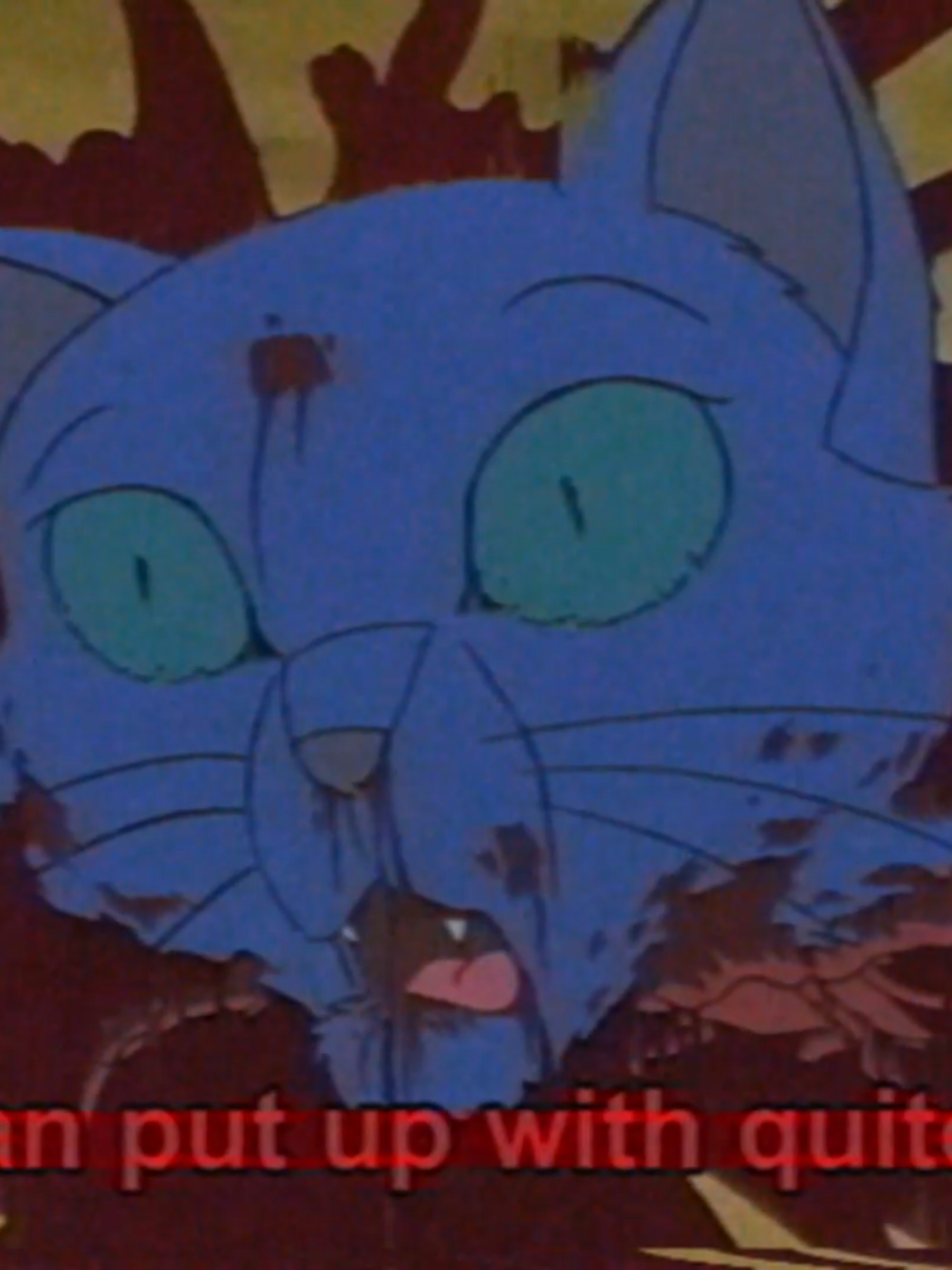 ⚠️[TV: Gore] ＳＨＥ ＬＯＯＫＳ ＬＩＫＥ‎ ‎ ‎ ‎ ‎ ‎ ‎ ‎ ‎ ‎ ‎ ‎ ‎ ‎ ‎ ‎ ‎ ‎ ‎  ＴＨＥ ＲＥＡＬ ＴＨＩＮＧ‎ ‎ ‎ ‎ ‎ ‎ ‎ ‎ ‎ ‎ ‎ ‎ ‎ ‎ ‎ ‎ ‎ ‎ ‎ ‎ ‎ ‎ #felidae #felidaemovie #felidaefrancis #felidaeedit #edit #cat #felidaefelicity #felicity