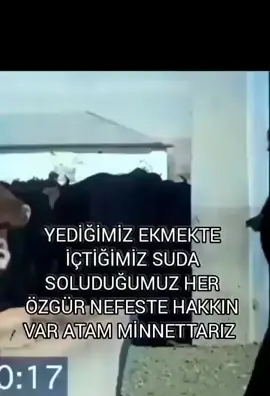#atamin__izinde #keşfetengelikaldır🤬 #keşfetengelinikaldırtiktok #mustafakemalatatürk #gazimustafakemalatatürk 