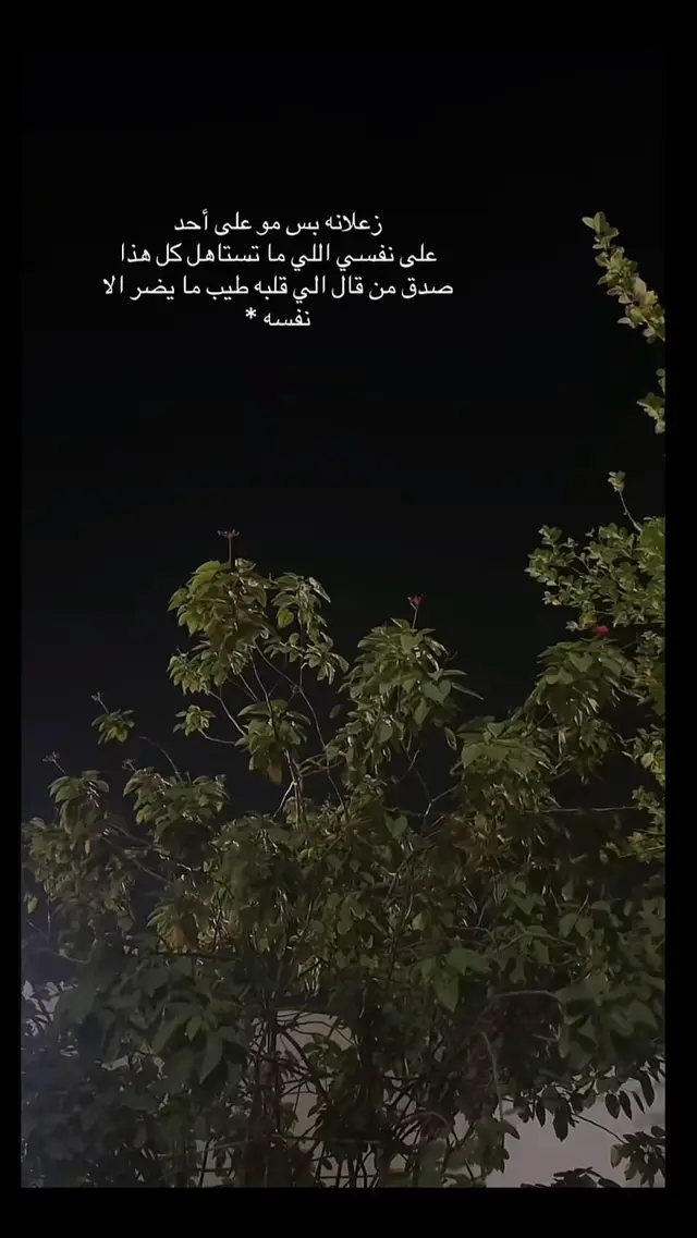 🥹زعلانه بس مو على احد #لايكات_الاكسبلور_متابعه #اكـــــســـــبــــــلـــــــــــور #🦋🦋🦋🦋🦋🦋 