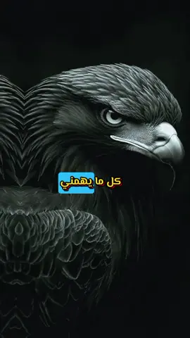 لا يهمني من يحبني أو يكرهني  #اقتباسات  #خواطر  #ستوريات  #عبارات 