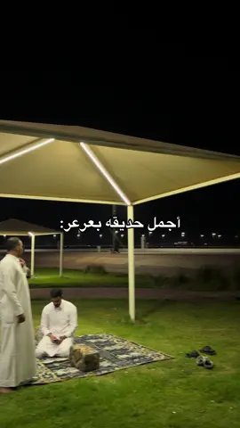 #fyp #arar #explore #اكسبلورexplore 