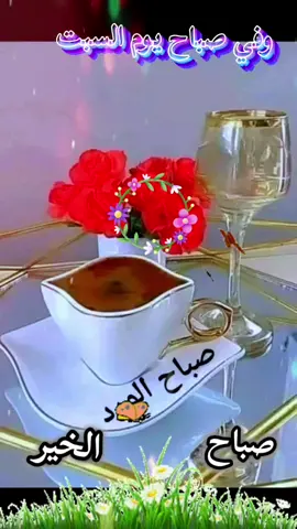 ##دعاء_يوم_السبت #اللهم ارفع عنا الهموم والأحزان واملأ قلوبنا بالسعادة والاطمئنان واجعلنا ياربي في الشدة صابرين وفي الرخاء شاكرين#اللهم_امين #حالات_واتس #ادعية_اسلامية_تريح_القلب 