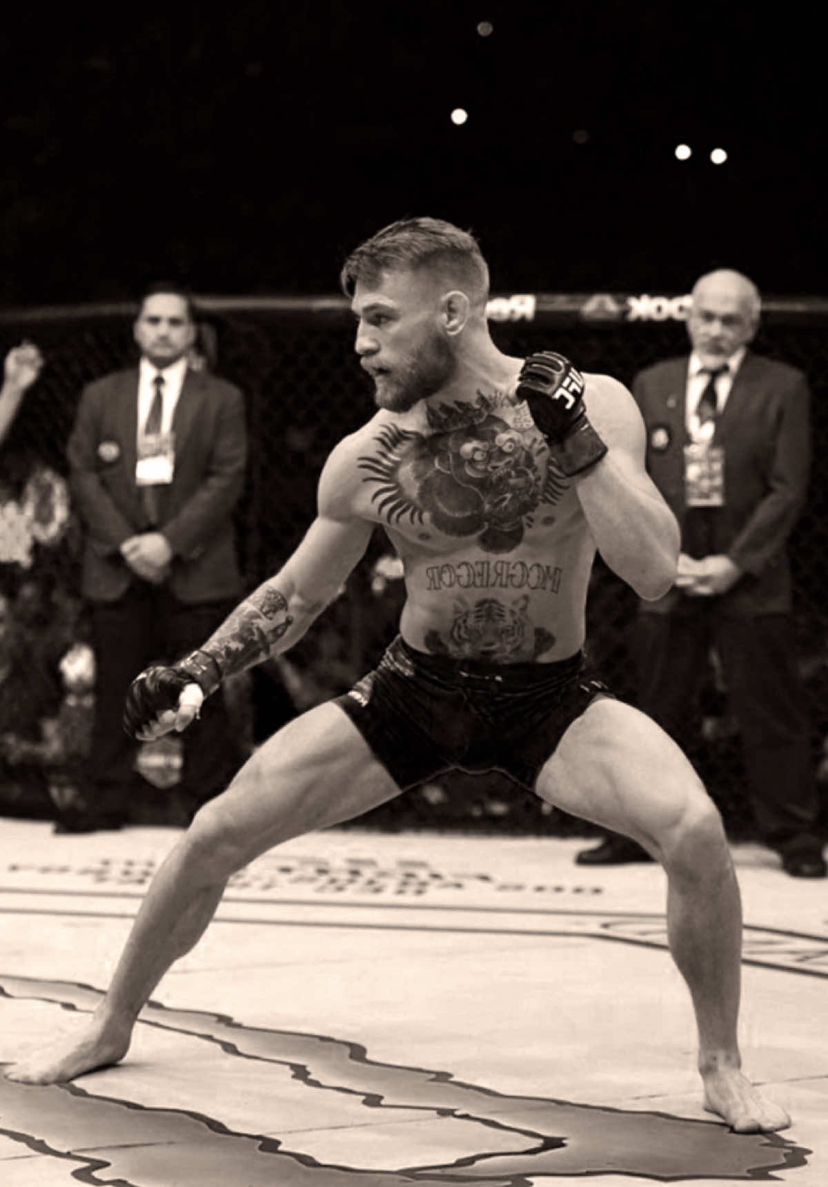 Solid work is the key to success. Conor Mcgregor. #conormcgregor #mcgregor #motivation 