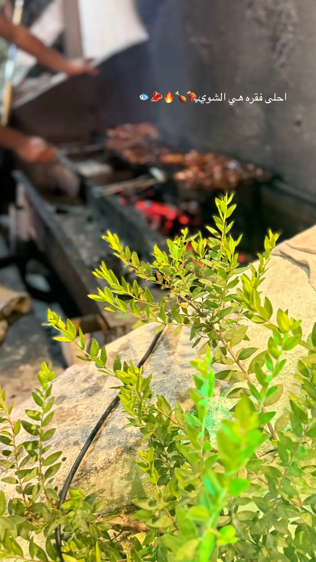 #اكسبلور #اكسبلورexplore #اكسبلووووورررر 