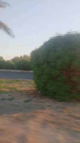 #احمدالوائلي_رحمه_الله #ستوريات_منوعة🔥♥️ #ونعم_بالله_العلي_العظيم #لايك_متابعه_اكسبلور #f 