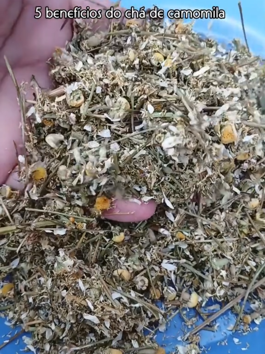 Além de saboroso, o chá de camomila fortalece a imunidade, auxilia na digestão e promove relaxamento. Um cuidado simples para sua saúde! 🌼💆‍♀️ Receita do chá de camomila: 1 colher de sopa de flores de camomila seca 1 xícara de água quente Coloque a camomila na água fervente, abafe por 5 a 10 minutos, coe e beba.#benefícios #chá #camomila @Benefícios 