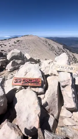 Epic summit of SoCal’s highest peak, Mount San Grorgonio. Over 9 miles straight up. The descent was surprisingly difficult because of the steepness, one wrong step and we’d be tumbling off the cliff. Super hard terrain. #trailrunning  
