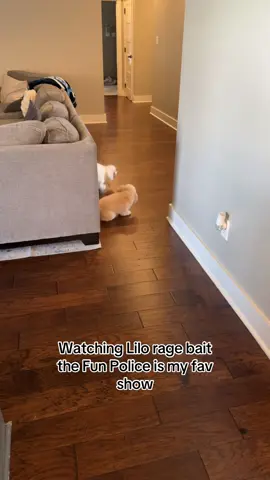 This is my kind of entertainment 