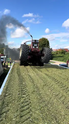 Ihc 1046🌾🌽 . . . . . . . #ihc1246 #ihcpower #agriculture #ernte2025 #landwirtschaft           