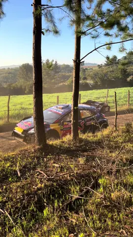 WRC Chile 2025 😬 @Rally Mobil @Josh McErlean @World Rally Championship #rallybiobio #wrc #2025 