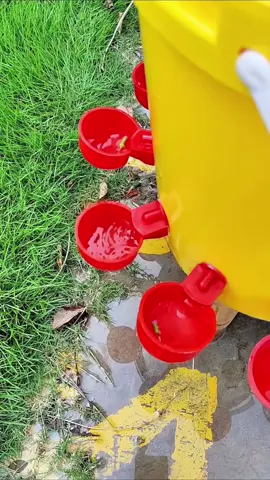 Bebedouro automático para galinhas, patos e outros animais! Fácil de instalar, repõe a água sozinho e para quando enche. Mais praticidade e cuidado para o seu criatório. #bebedouro#galinhas#agricultura#vidanocampo  